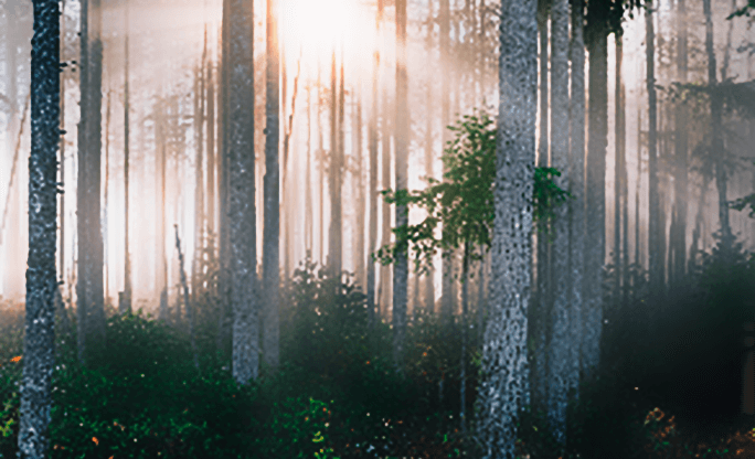 Lorem ipsum dolor sit amet